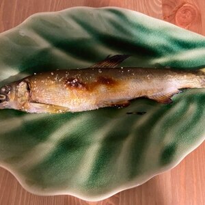 【コツ】鮎の塩焼き・グリルで美味しい鮎の焼き方